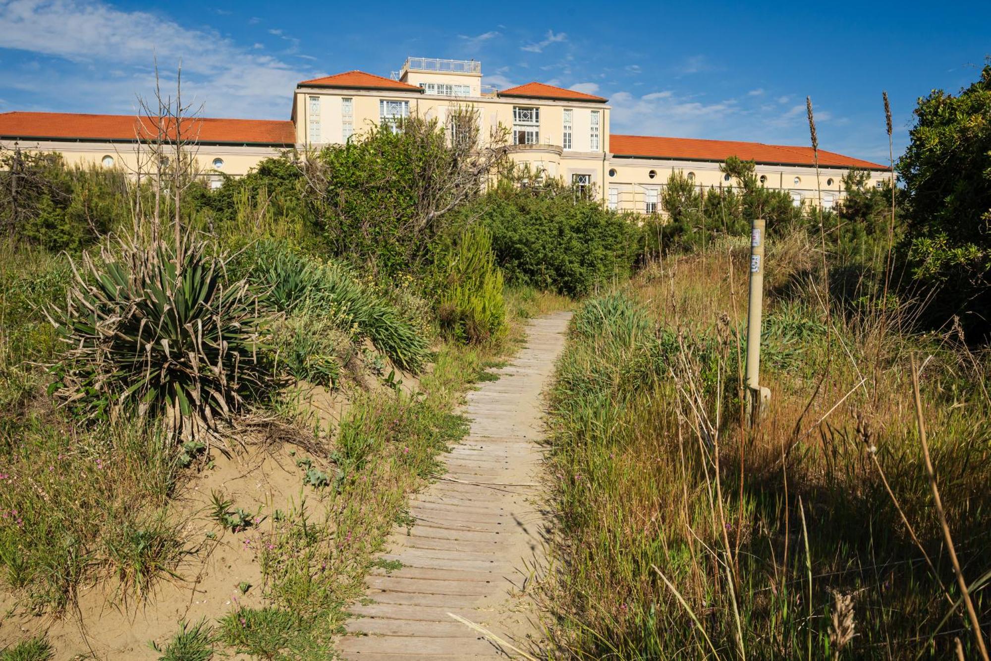Вилла Amazing Sea View Flat Тиррения Экстерьер фото
